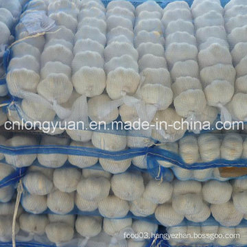 Fresh Normal White Garlic with Mesh Bag